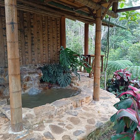 Huaca Huaca Hostel Мокоа Экстерьер фото